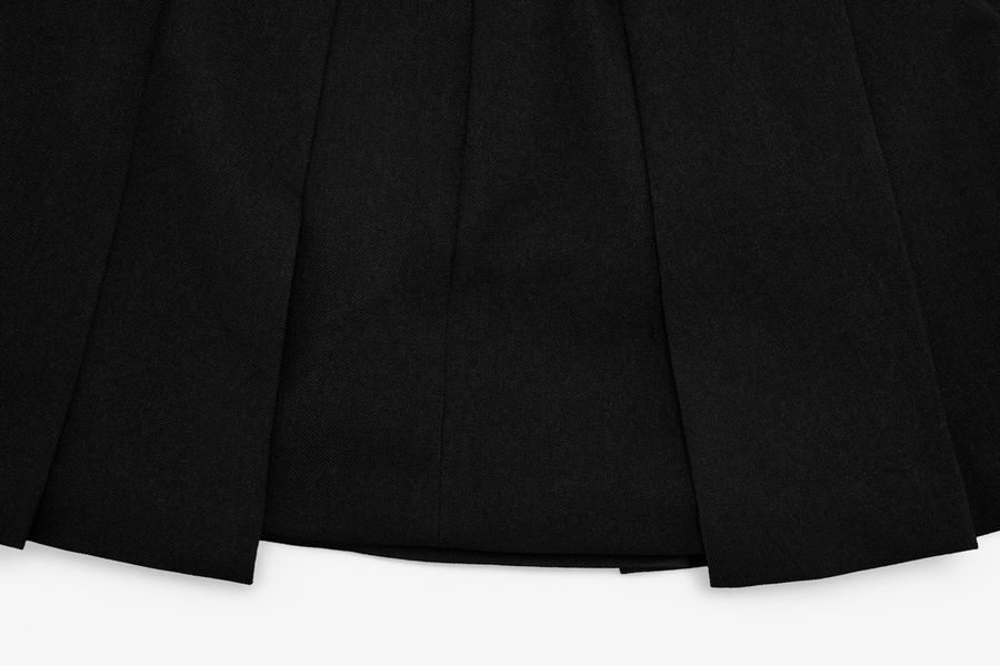 PLEATS PANTS SKIRT