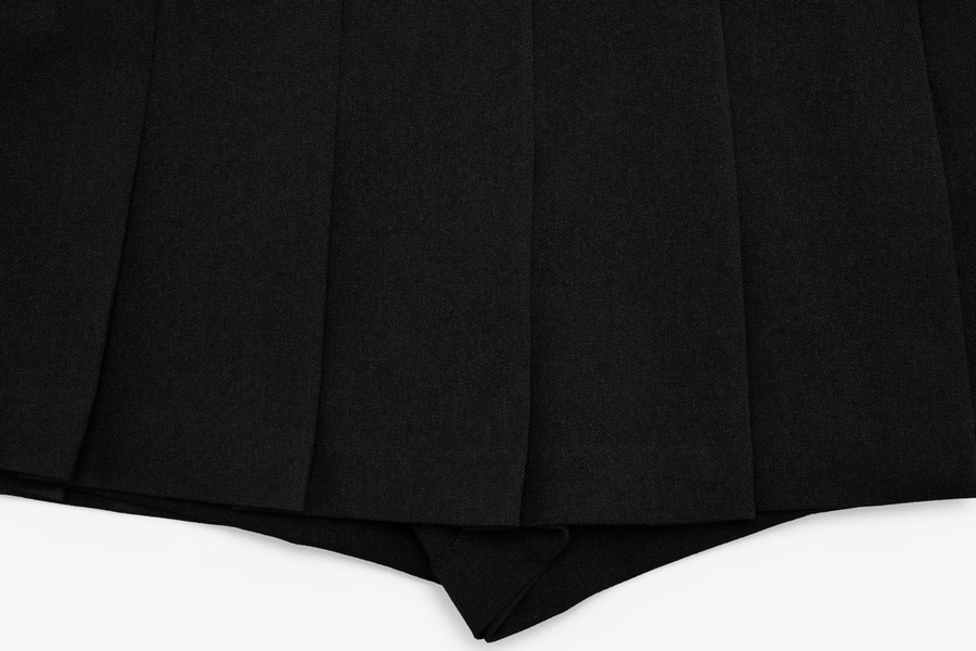 PLEATS PANTS SKIRT